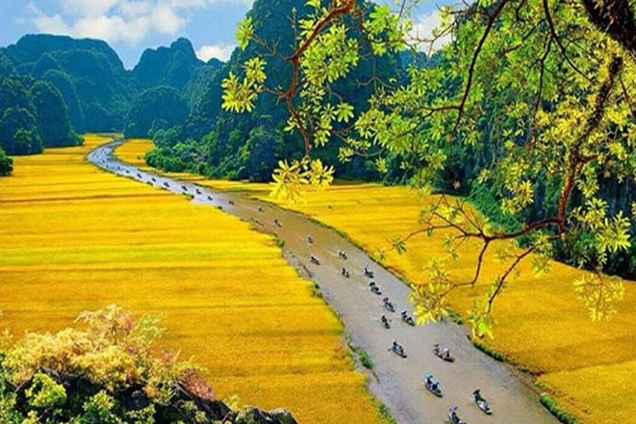 Marvelous Cycling Vacation in Northern Vietnam 14 Days